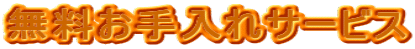 �����������T�[�r�X 