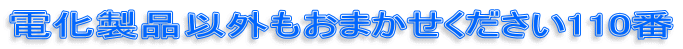 �d�����i�ȊO�����܂�����������110��